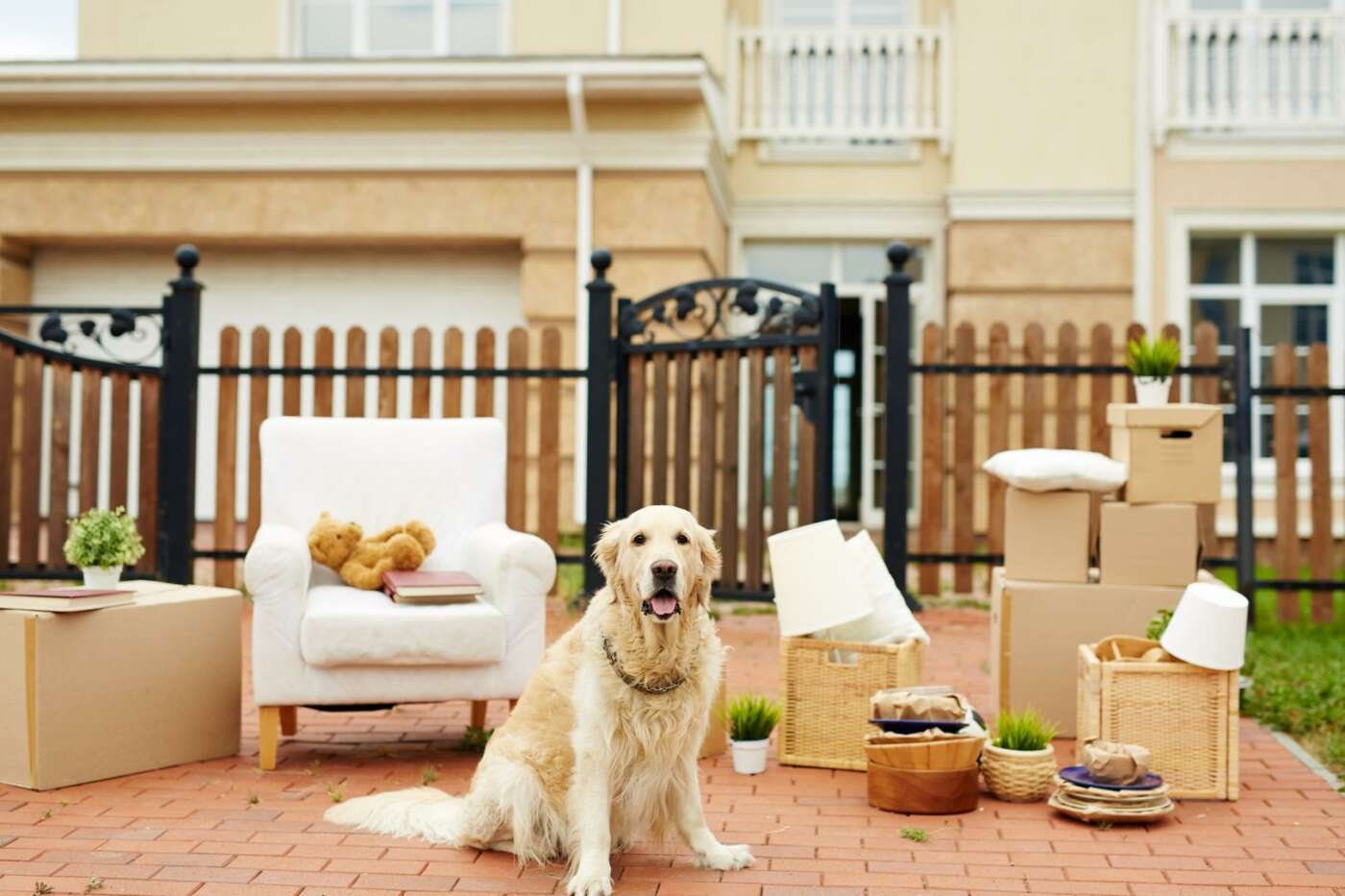 Tips For Moving with Dogs and Cats 7ee9d49f12c2c54072a3af9d7c9c4b07a3b195af