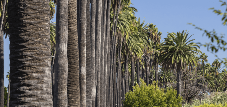 Long Beach Long Beach 2 1