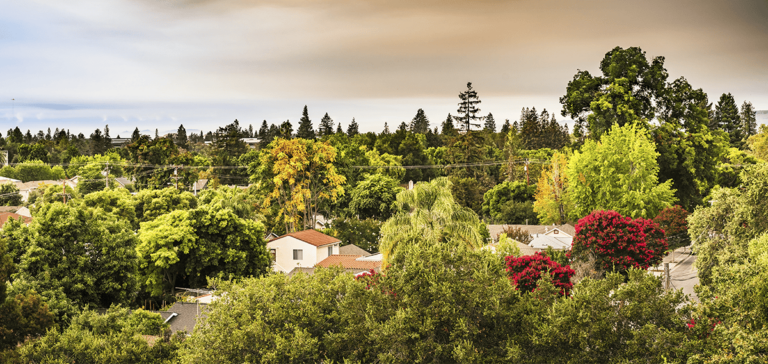 Palo Alto Palo Alto 1