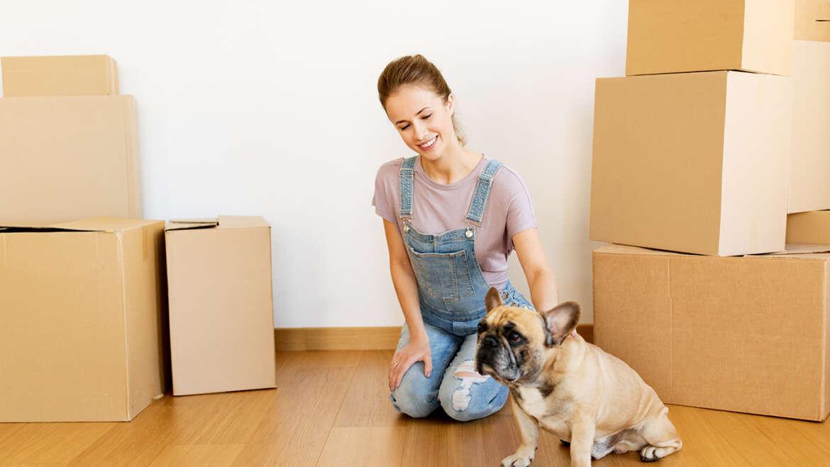 Tips For Moving with Dogs and Cats happy woman with dog and boxes moving to new home 2021 04 03 03 36 00 utc 1170x658 1