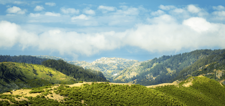Temecula Temecula 1
