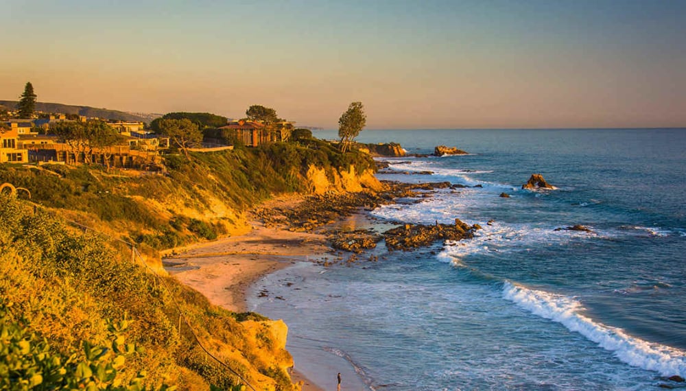 Palm trees lining a sunny street in Los Angeles, California, TrekMovers