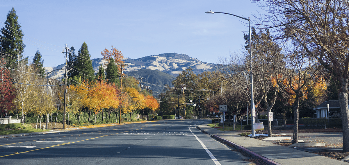 Campbell movers Campbell 1