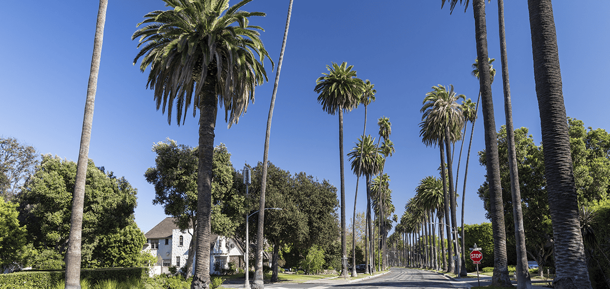 Canoga Park movers Canoga Park 1