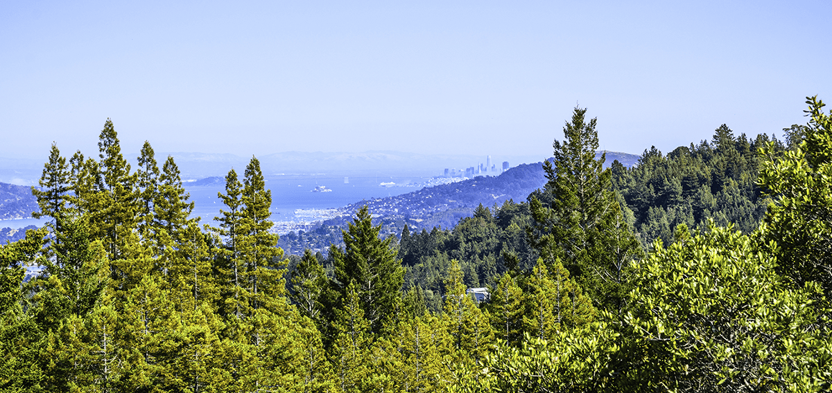 Corona movers Corona 1