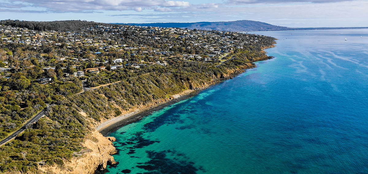 Dana Point movers Dana Point 1