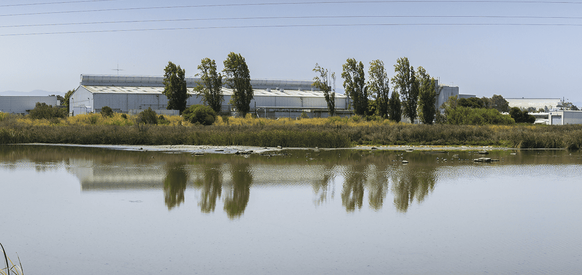 Downey movers Downey 1