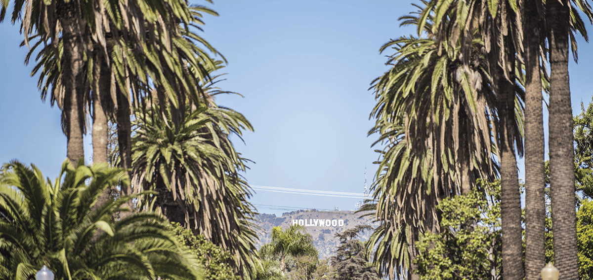 Hollywood movers Hollywood 1