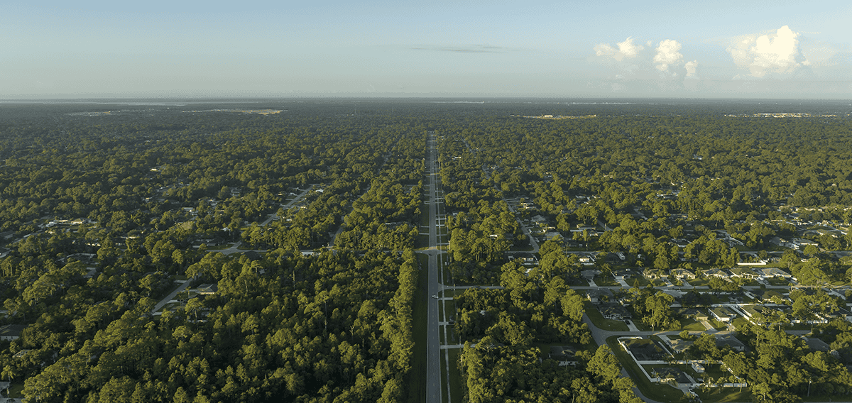 La Mirada movers La Mirada 1