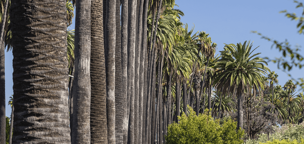 Long Beach movers Long Beach 2 1