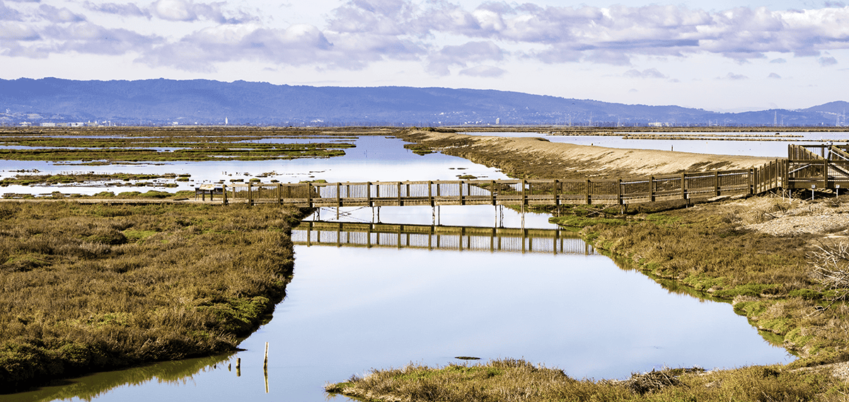 Marina Del Rey movers Marina Del Rey 1