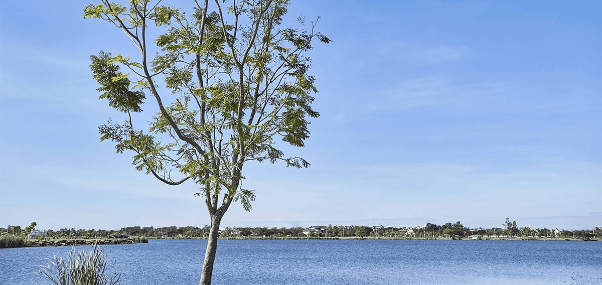 Mission Viejo movers Mission Viejo 1