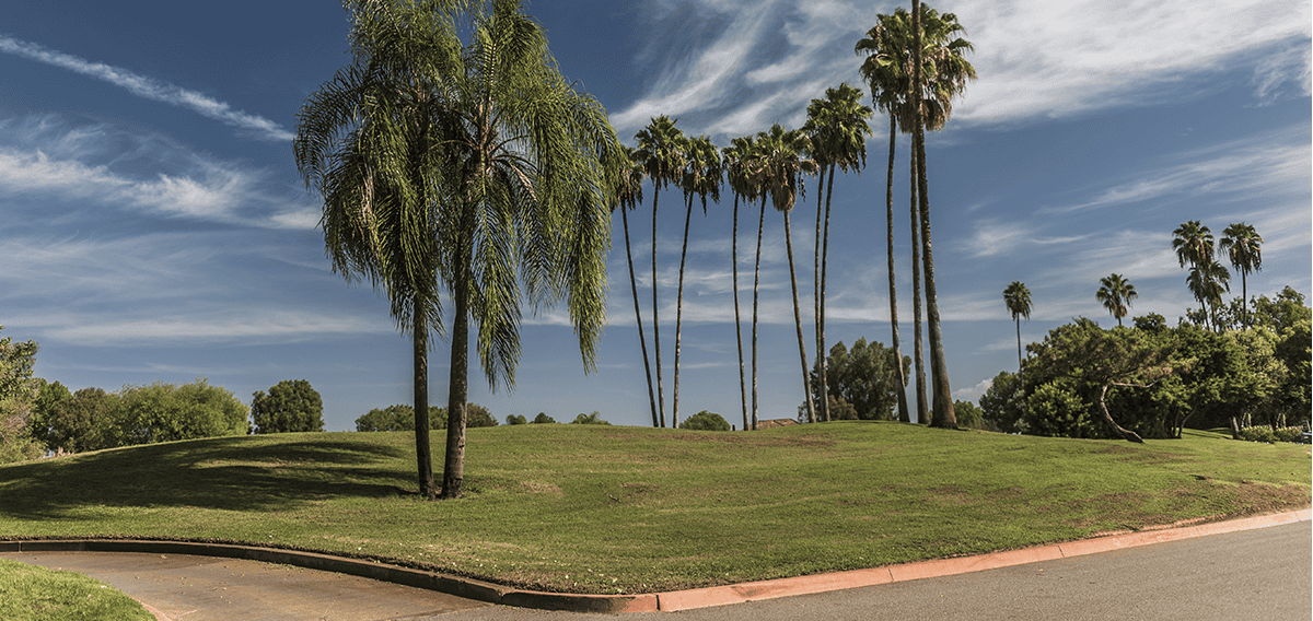 Orange movers Orange ы 1