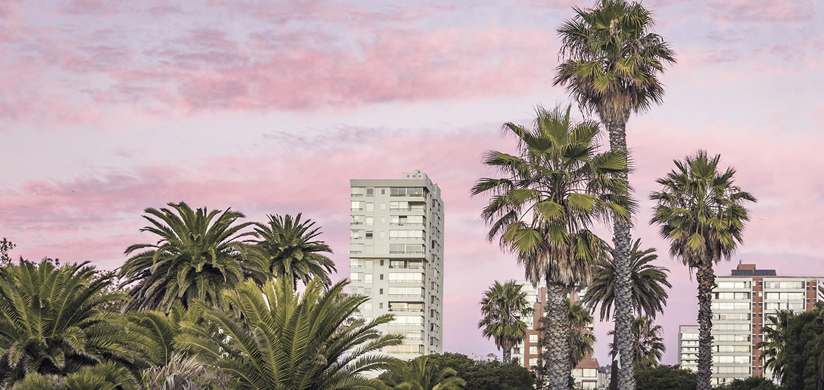 Studio City movers Studio City 1