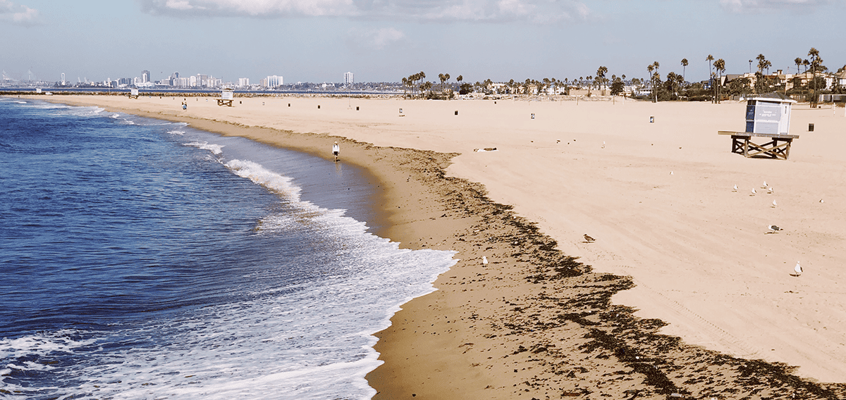 Torrance movers Torrance 1