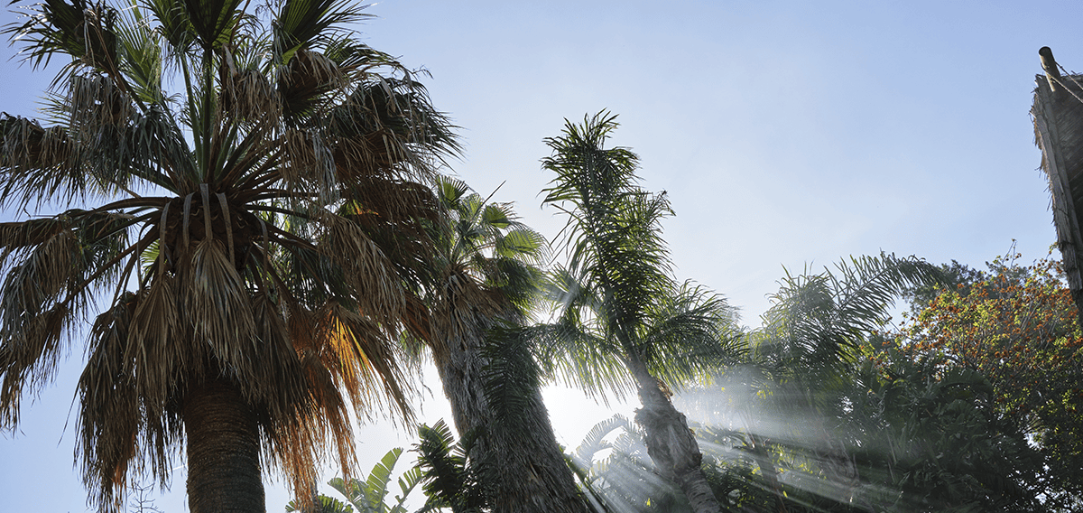 Tustin movers Tustin 1