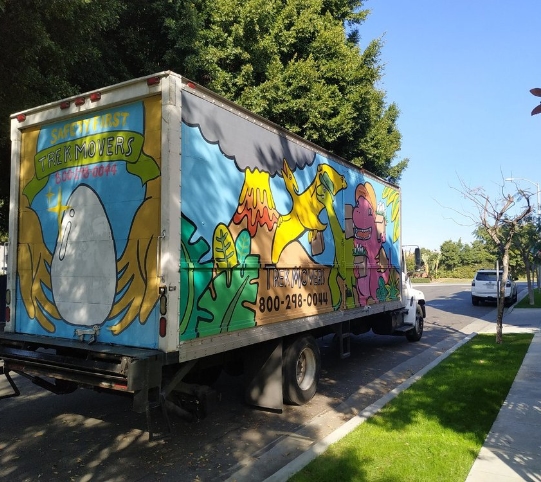 Castro movers o 15 1