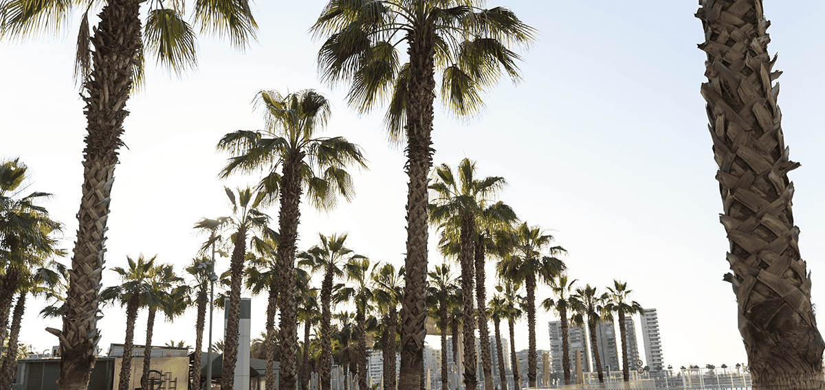 Garden Grove movers аекре 2