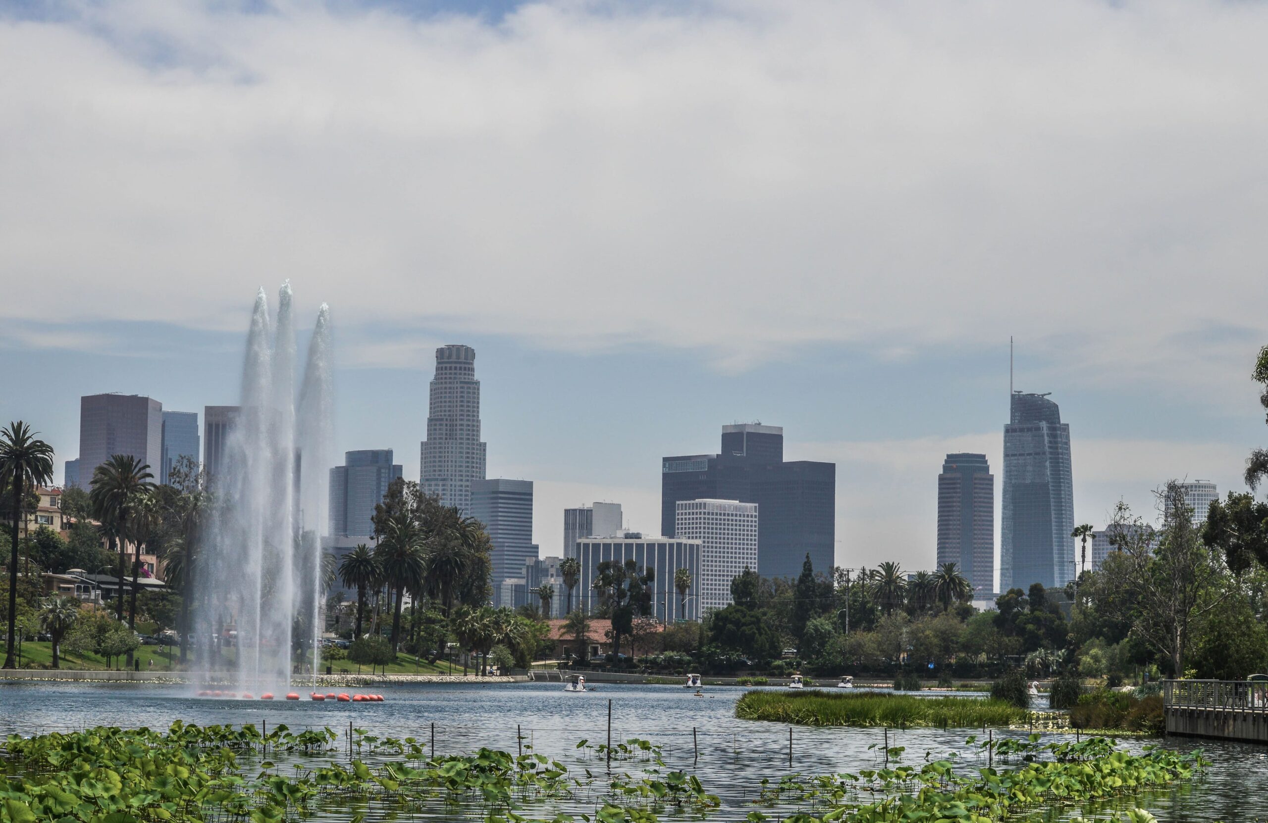Echo Park Lake in Silver Lake with the downtown Los Angeles skyline in background.