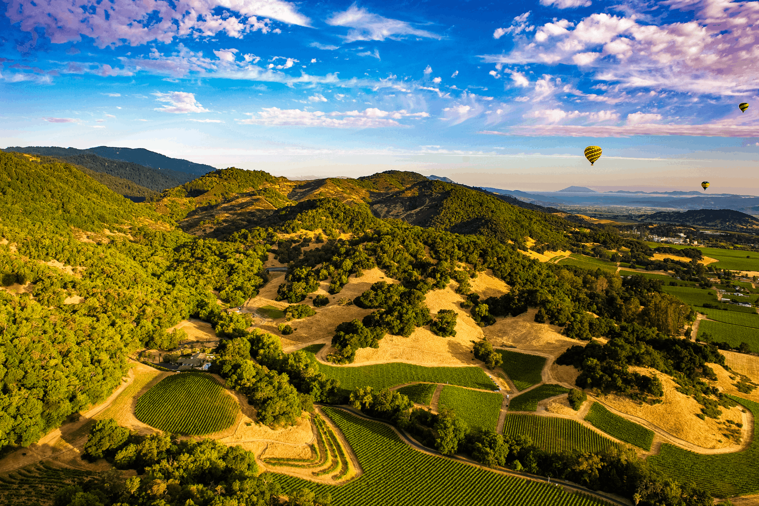 Early morning photo of hot air balloon trip over Napa Valley, CA vineyards.