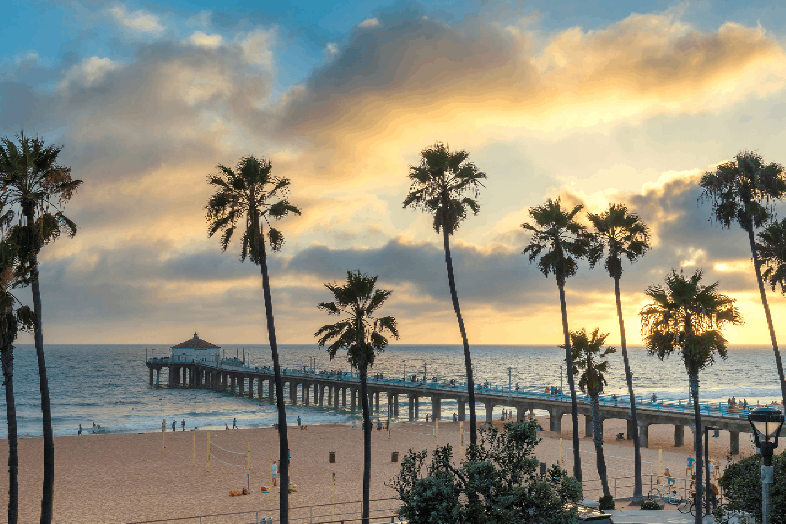 Palm trees in Manhattan Beach and pier at sunset, Los Angeles, California.