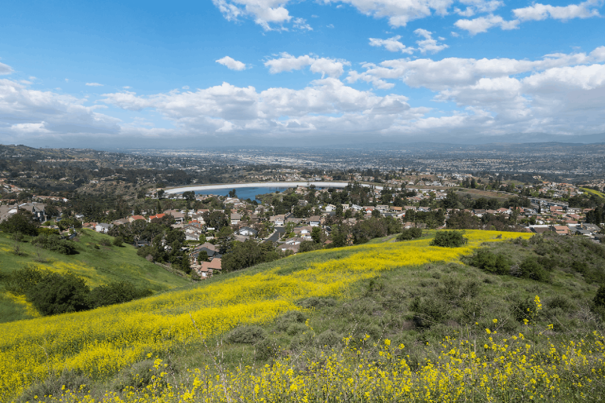 Anaheim Hills Movers banner13