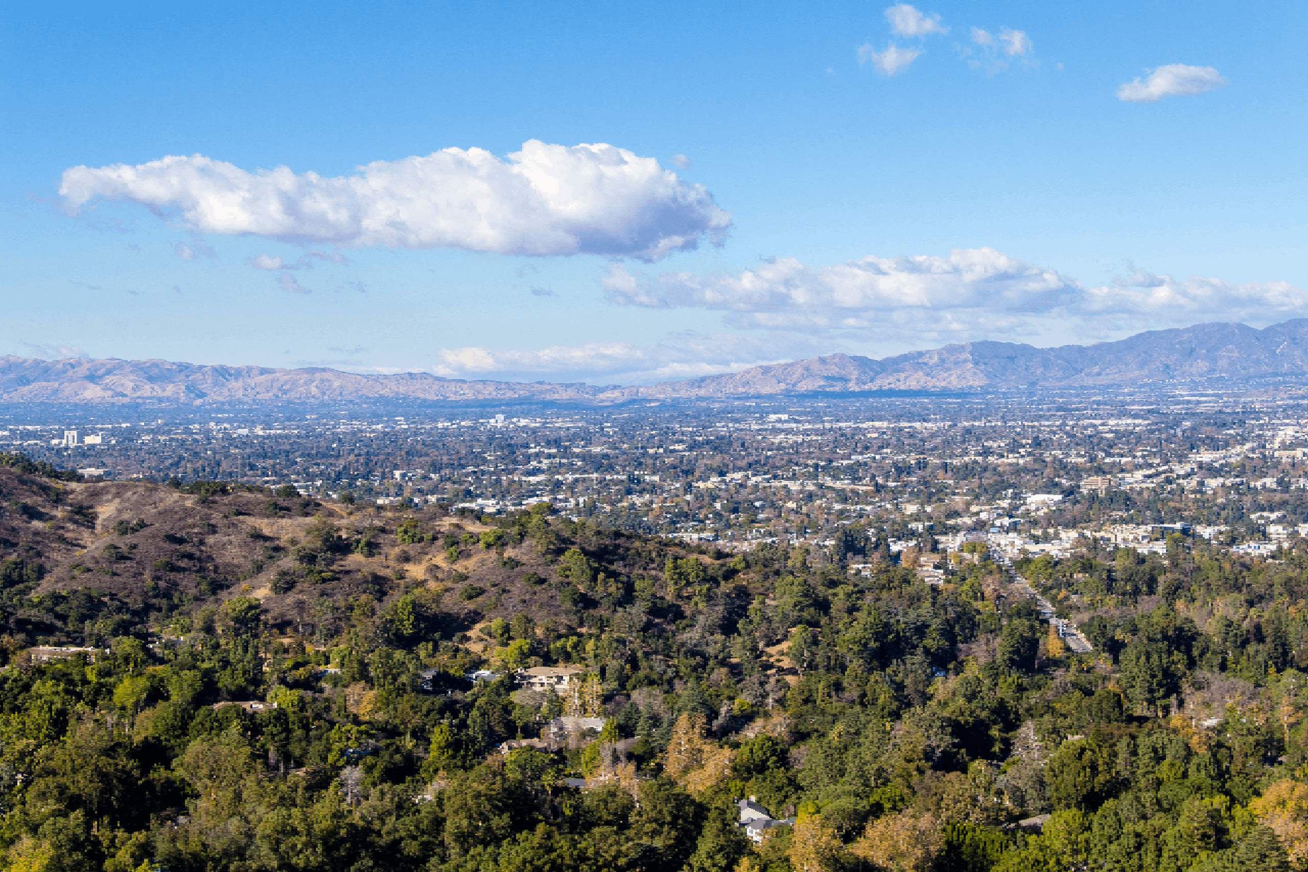 View of the San Fernando Valley from above on the Santa Monica mountains in California.
