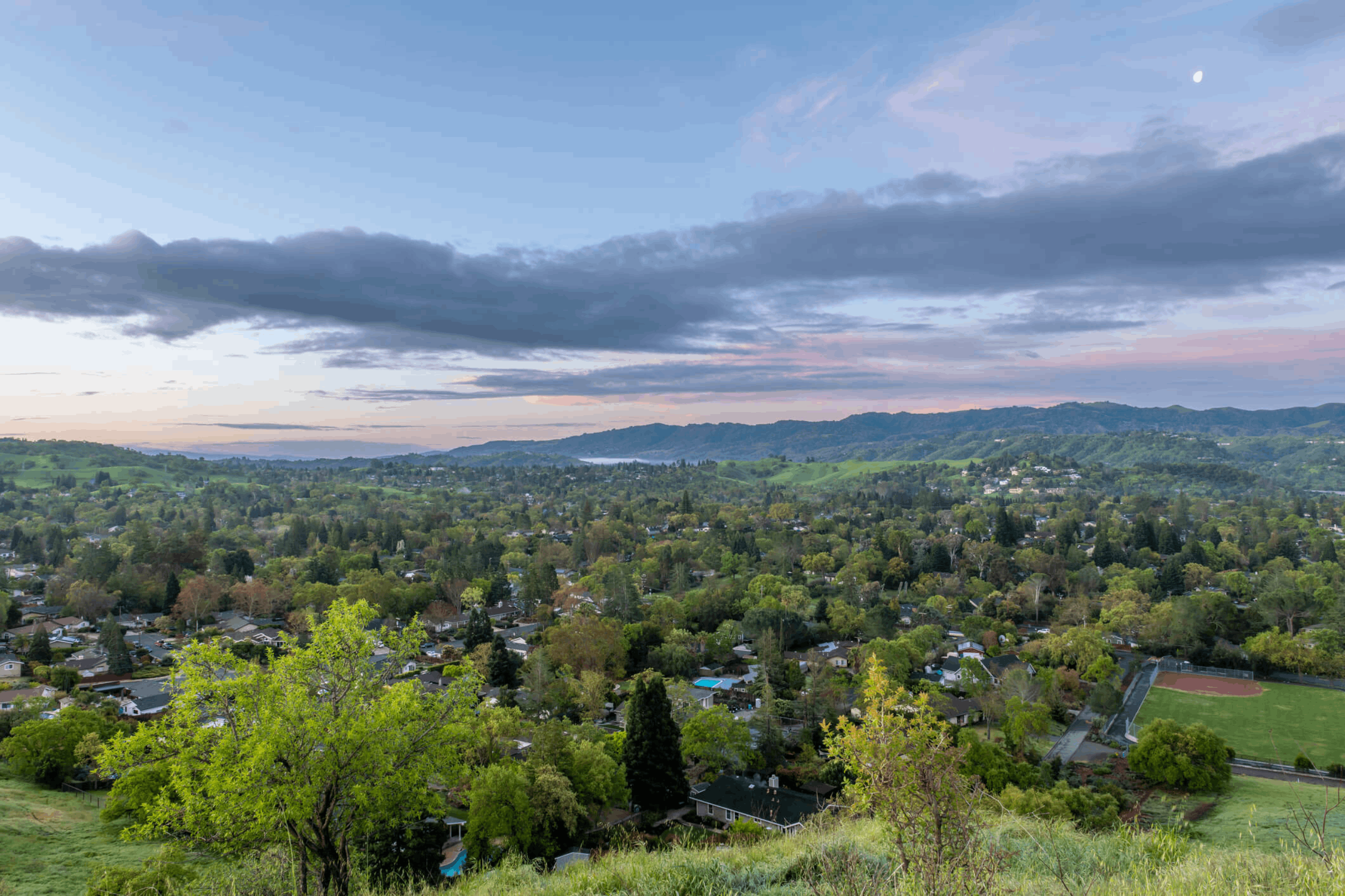 Walnut Creek Movers iStock 1315234143 scaled 1