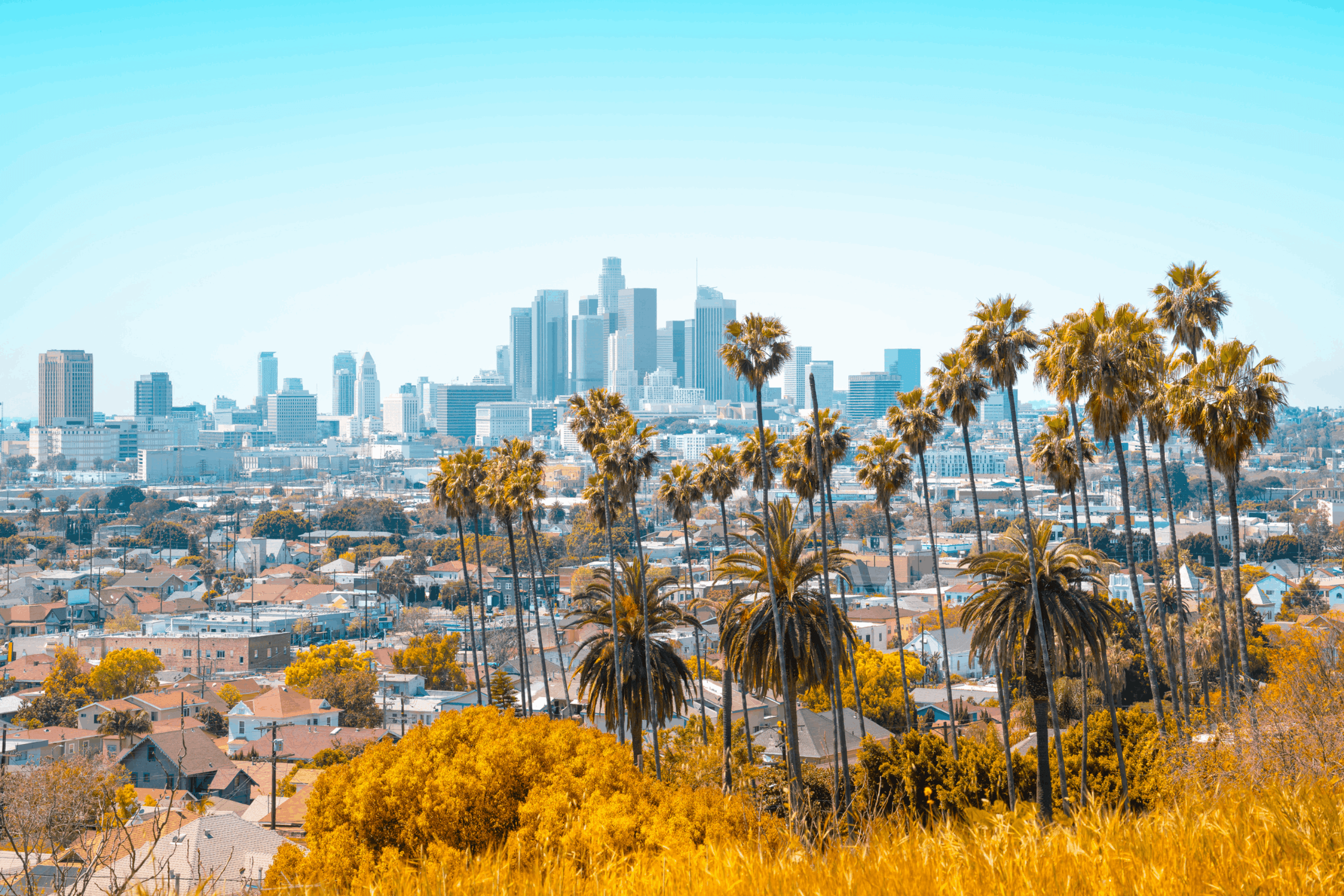 Los Angeles County Movers banner2 2