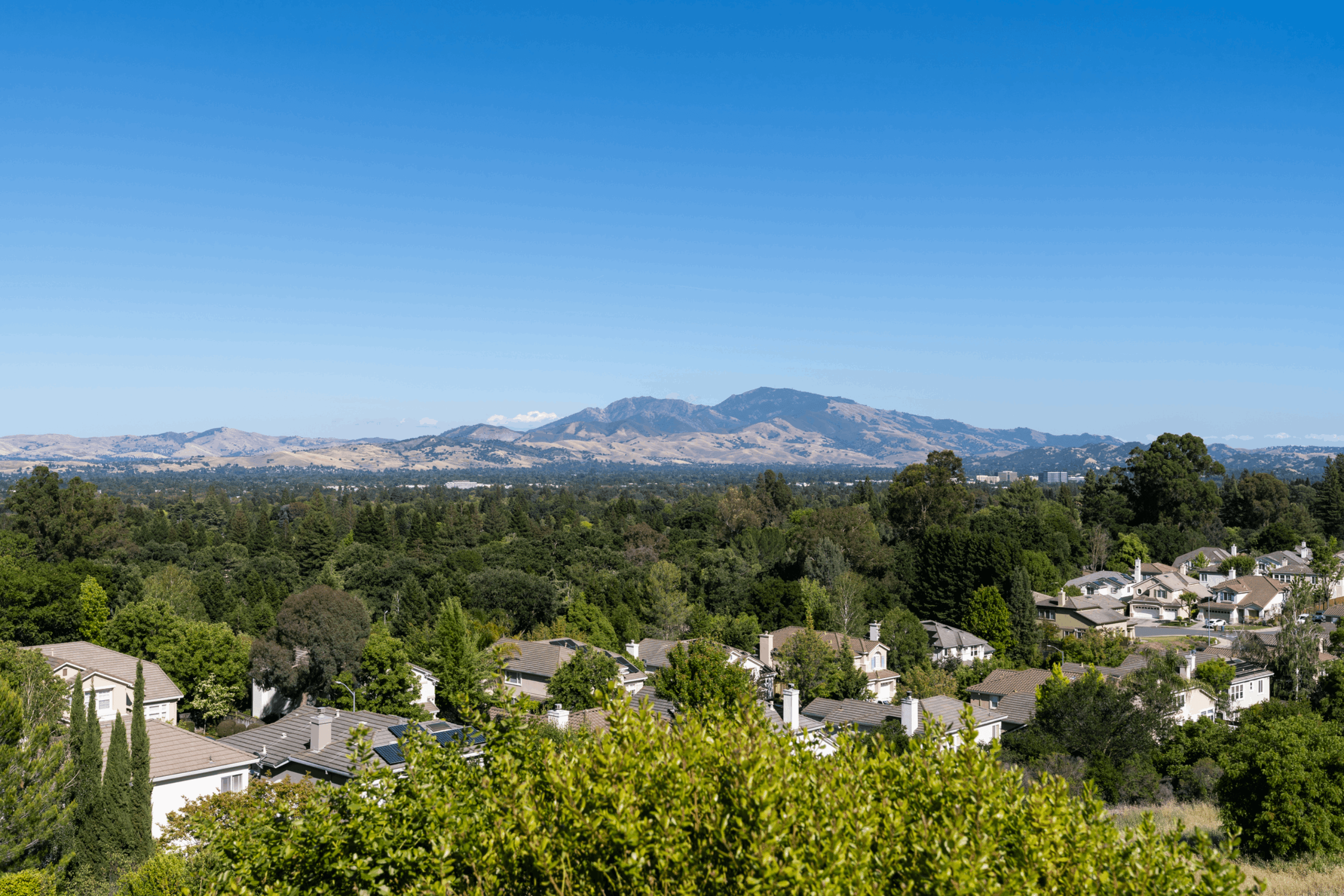 Contra Costa County Movers county 1