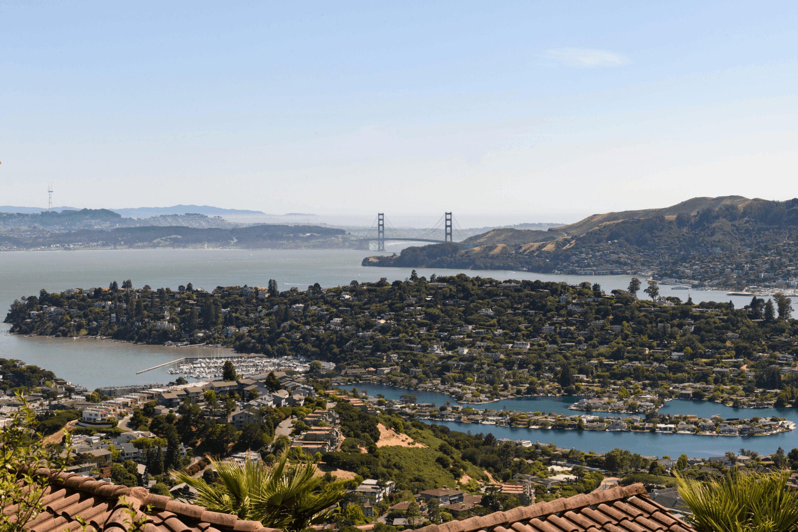 Marin County Movers county 8