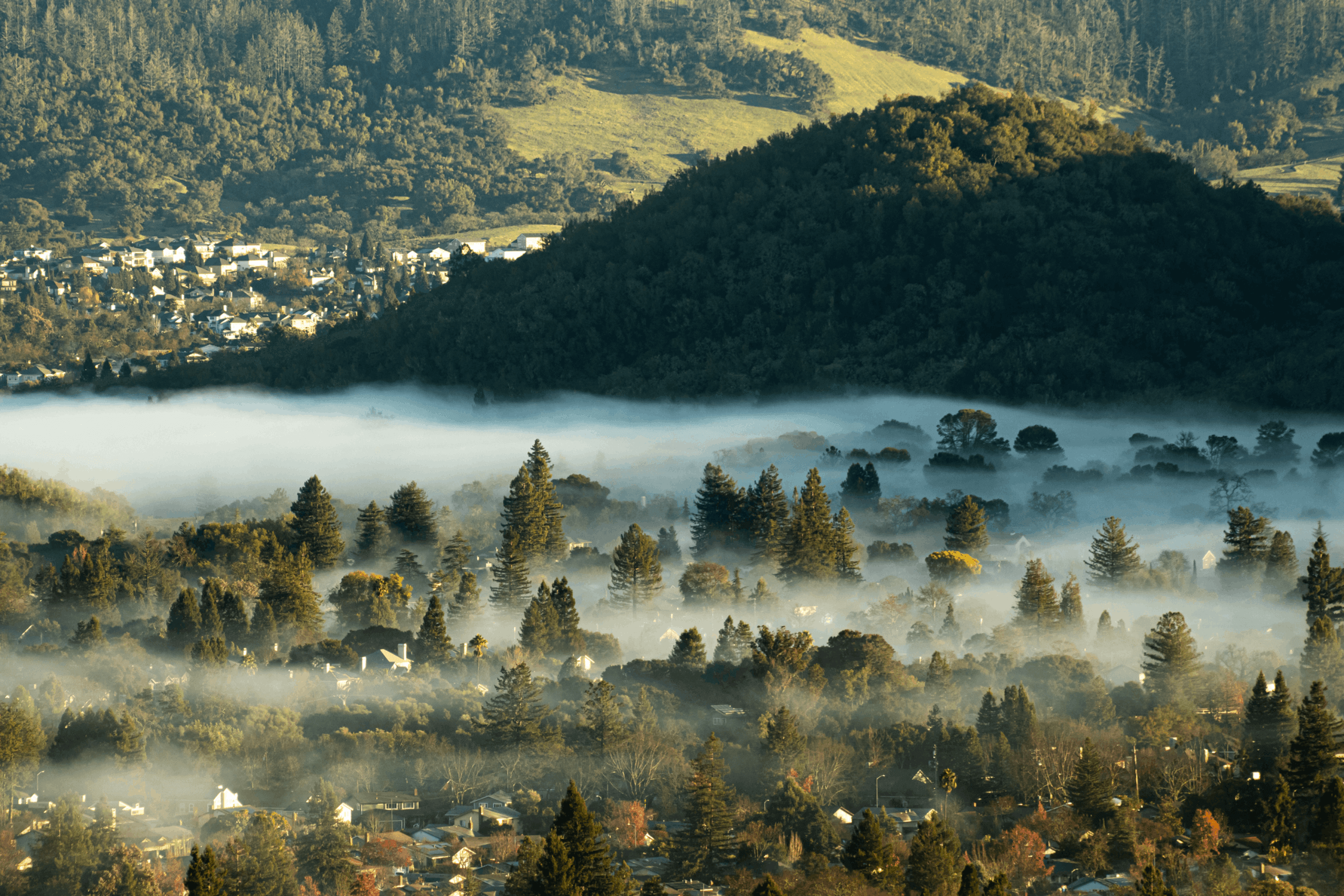 Sonoma County Movers county 9