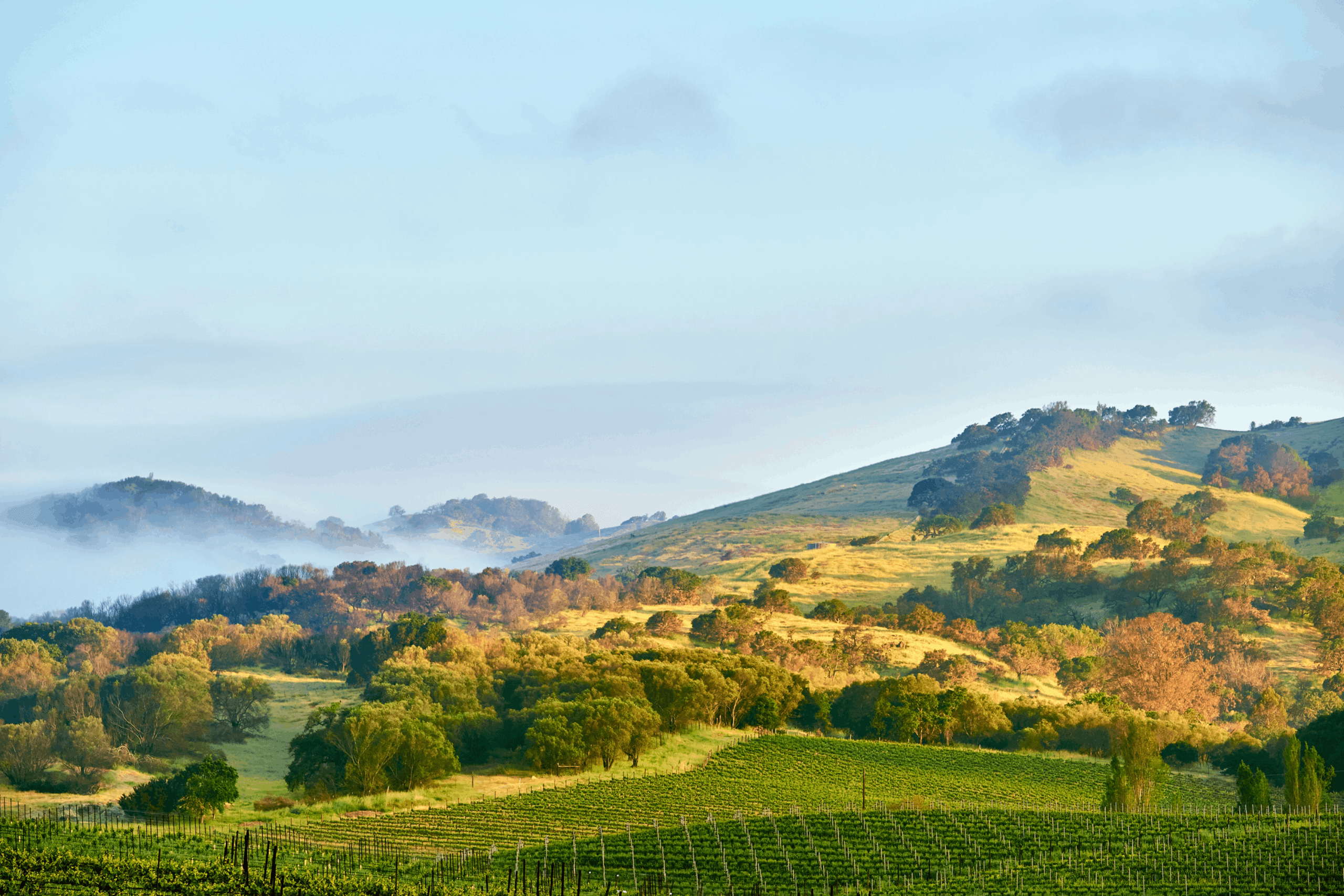Napa County Movers county