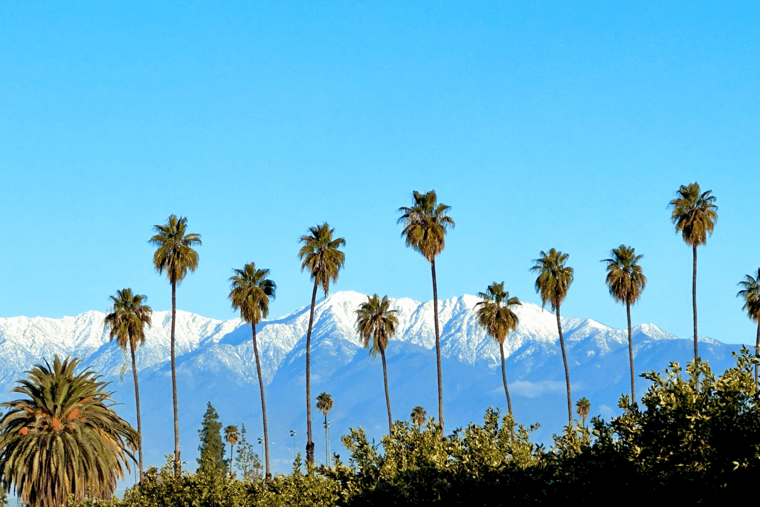 Palm trees with snow capped mountains in the background, near the Arlington neighborhood in Riverside, CA